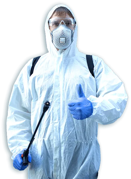 Preventivo disinfestazione a Caserta
